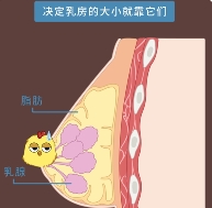 缩胸手术不适合哪些人群